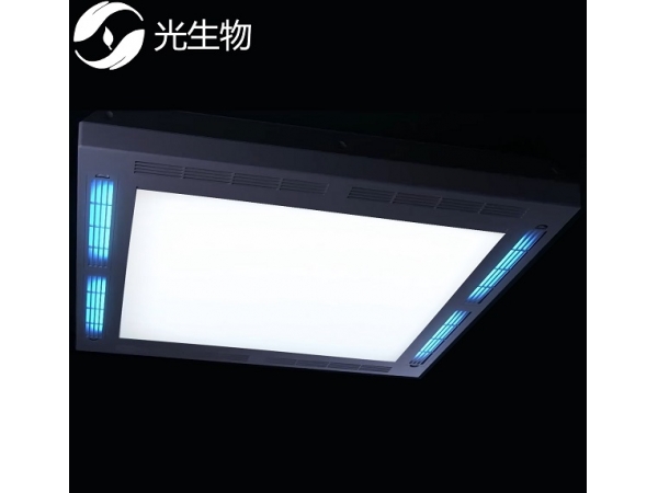 空氣凈化燈使空氣中充滿負(fù)離子
